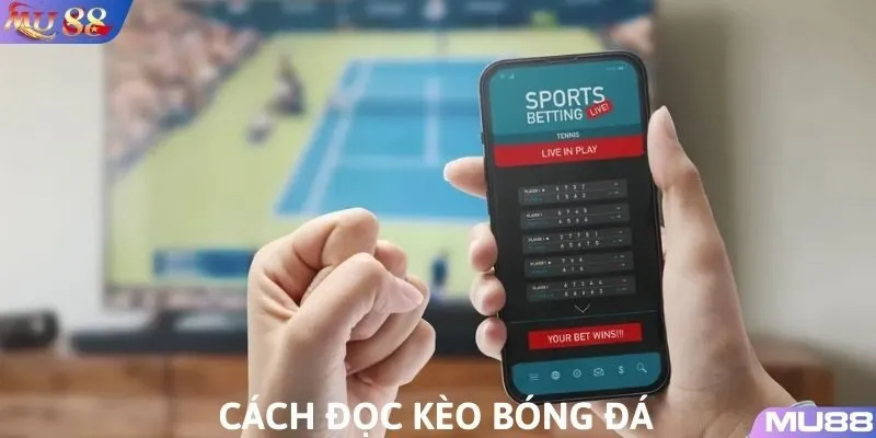 Đôi nét sơ bộ về cách đọc kèo bóng đá