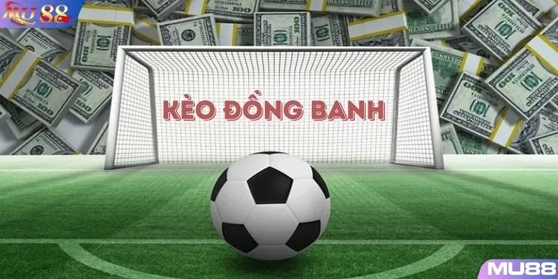 Cách đọc kèo hòa chi tiết cho người mới