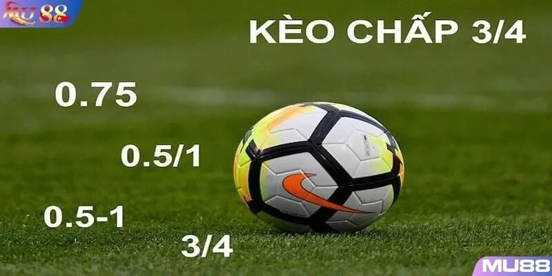 Khám phá về Handicap 0.75 trái