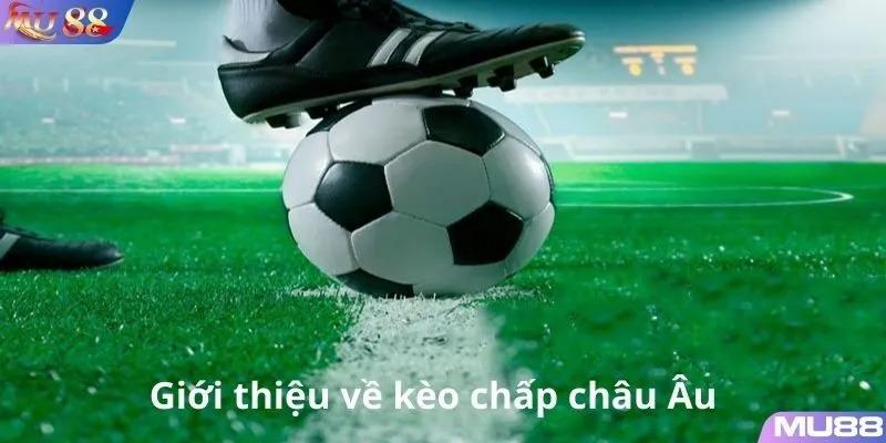 Khám phá về kèo 1x2 tại MU88